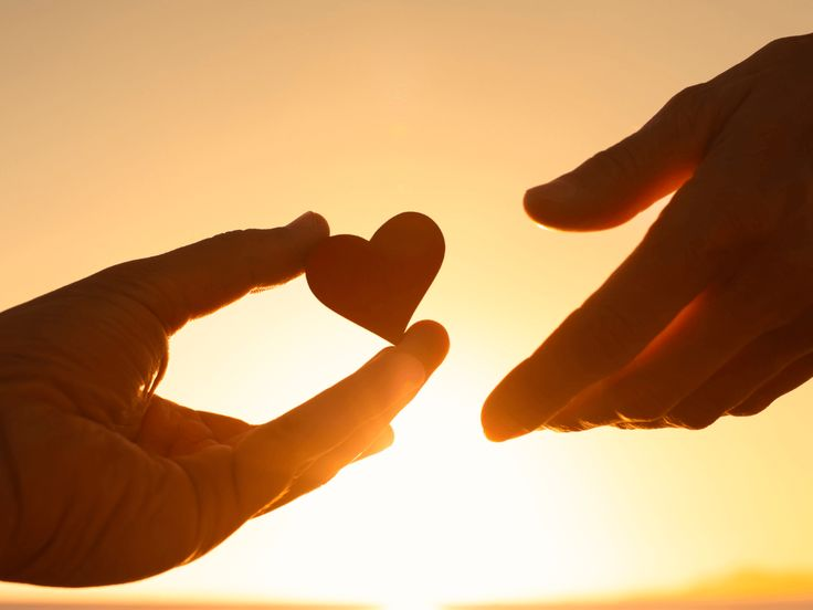 Help Support our Work - Donate Today